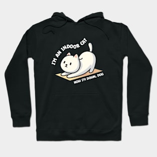 Indoor Cat - Lazy Cat Awesome Gift Hoodie